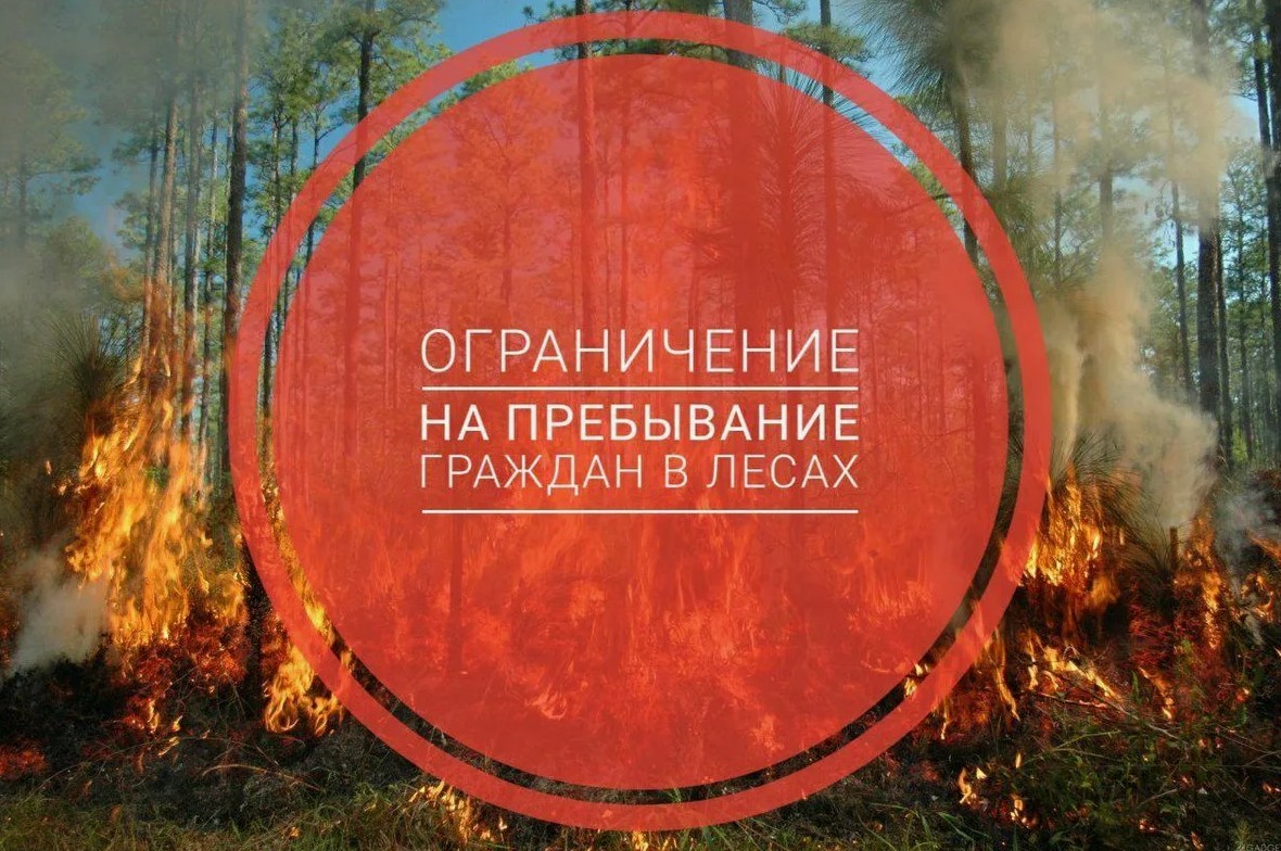 С 3 по 15 июня 2025 года вводится ограничение на пребывания граждан в лесах Калужской области и въезда в них транспортных средств..