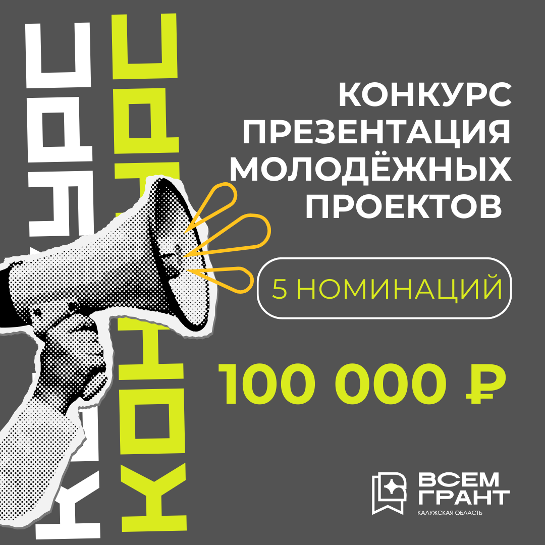 Конкурс-презентация молодежных проектов.