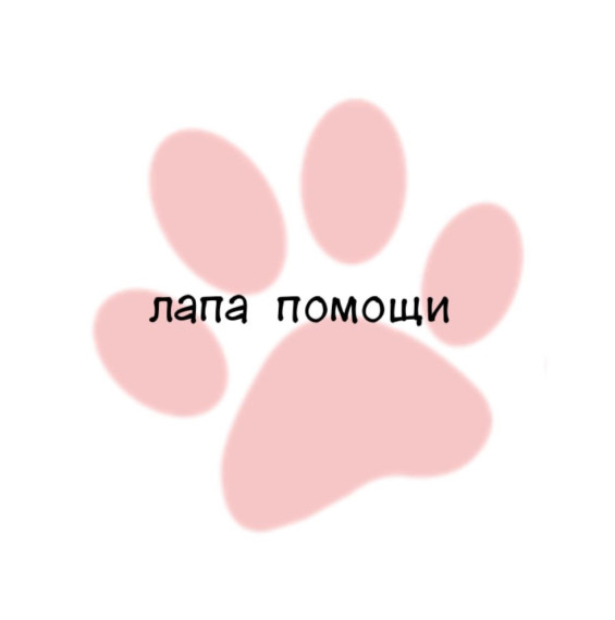 Лапа помощи. Лапа помощи.