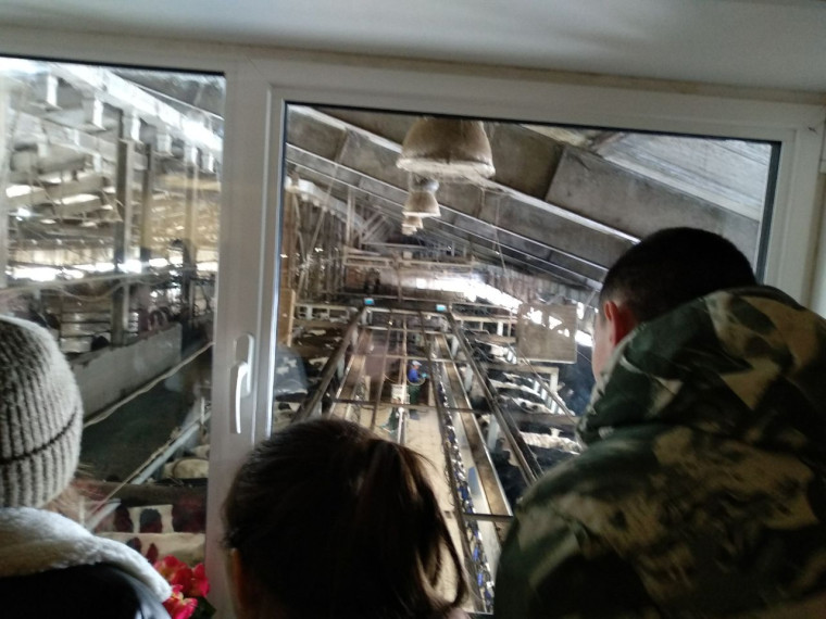 Школьникам провели экскурсию по животноводческому комплексу в д. Косьмово.
